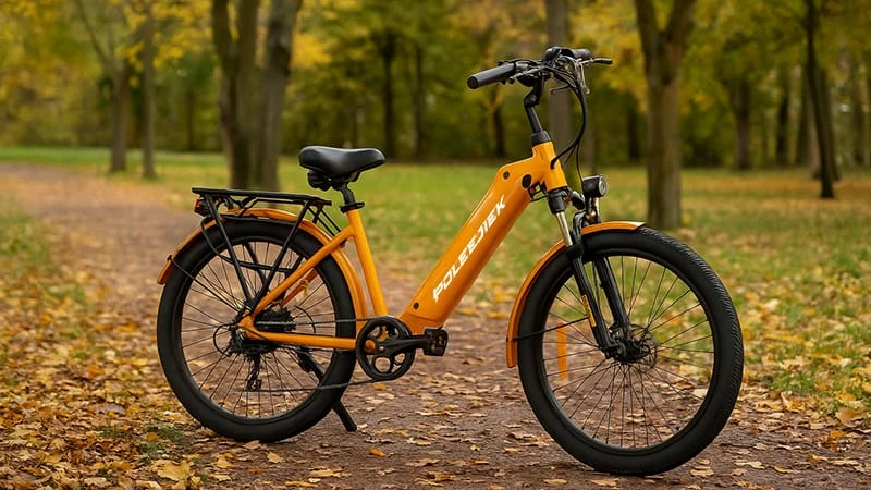 electric bike for commuting, corporate ebike fleet, POLEEJIEK ebike, B2B electric bike supplier, sustainable transport
